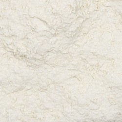 GUAR GUM