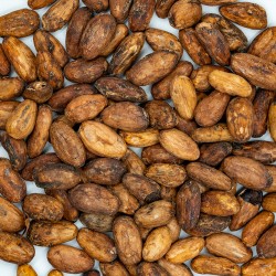 CACAO BEANS