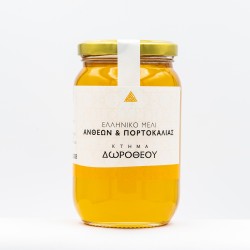 ΜΕΛΙ ΔΩΡΟΘΕΟΥ ΑΝΘΕΩΝ ΠΟΡΤΟΚΑΛΙ 480gr